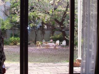 家から眺めた風景