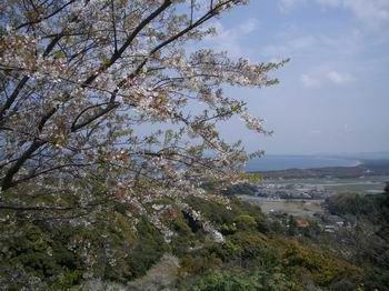 桜、空、海.JPG