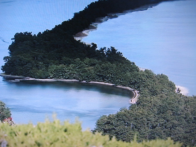 画像 015.jpg