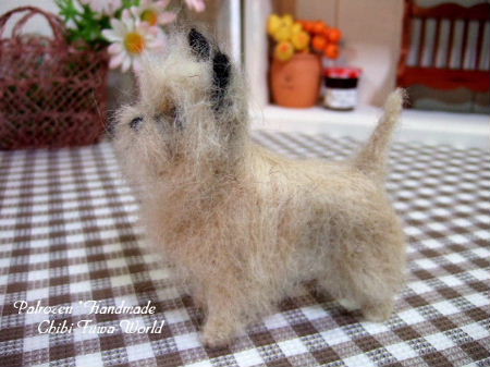 ケアンテリアちゃん2