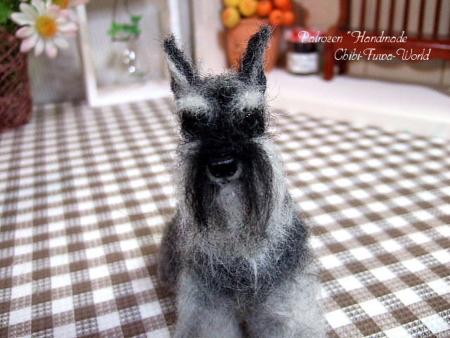 メロディーちゃん3