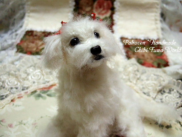 まりんちゃん横顔