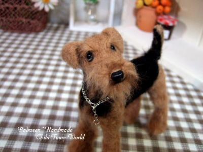 エアデールちゃん