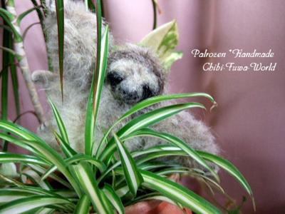 ミツユビナマケモノ2