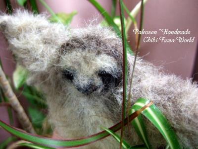 ミツユビナマケモノ、アップ