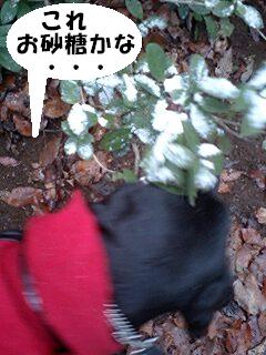 100213_0921~0001.jpg