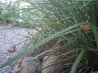 100802_1039~0001.jpg
