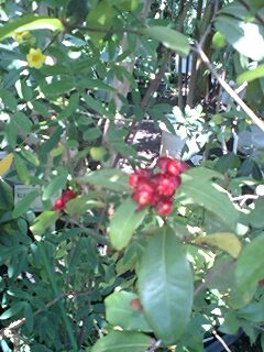 100517_1059~0001.jpg