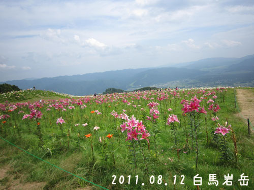 110813白馬岩岳.jpg