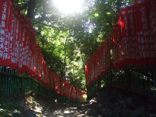 日枝神社 011.JPG