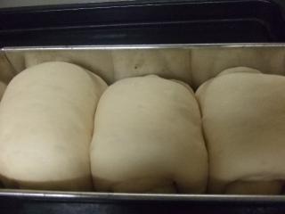 食パン　工程 002.JPG