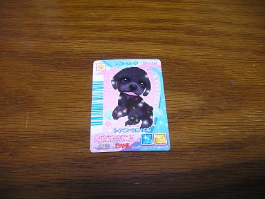 デジカメ 868.jpg