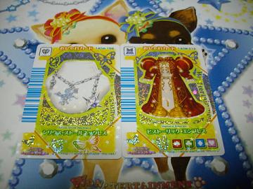 デジカメ 1202.jpg