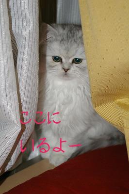 IMGP1275.jpg