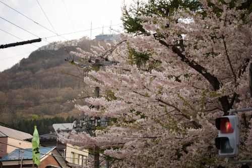 函館山も入れてみましたぁ～