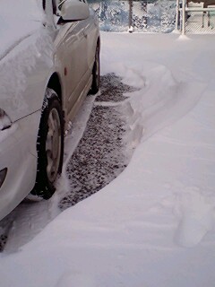 100311吹きだまり02