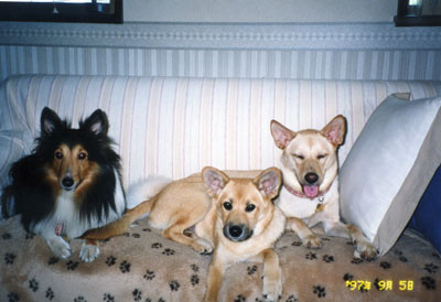 名称未設定 2.jpg