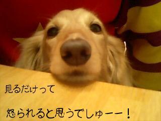 2010-02-18 10:54:31