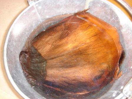 シュロ皮と流木