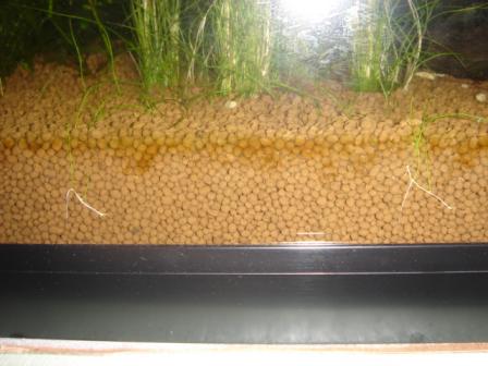 6－24ヘアーグラス