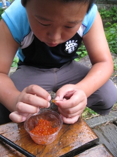 さとちゃん 006.JPG