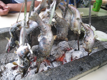 さとちゃん 032.JPG