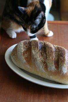 大きいパン２.jpg