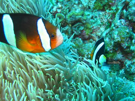 9/10の写真です（その２）