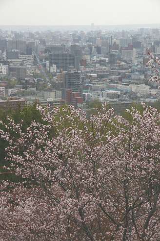5/15の写真（その２）です。