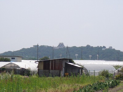 DSC02461.jpg