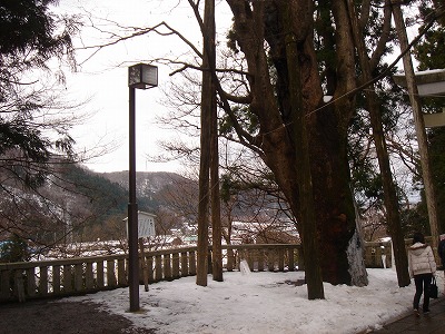 初詣２００８ 003.jpg