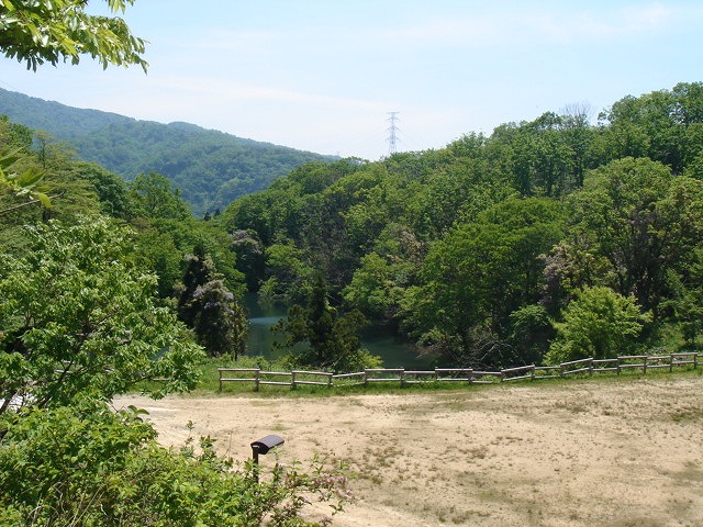 2 009.jpg