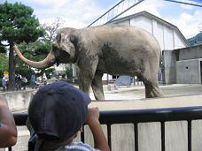 2007.9.17動物園