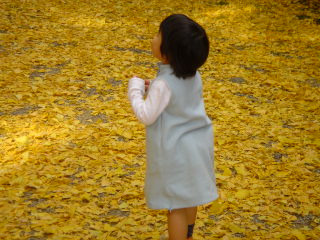 kouyou2