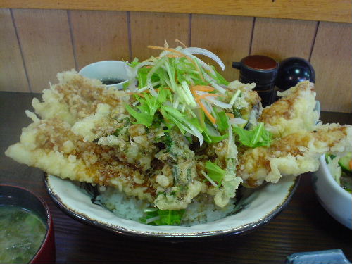 DSC00788.JPG