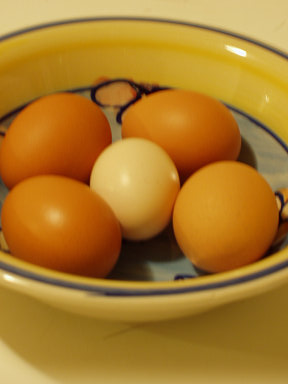 eggofukokkei