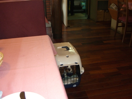 200703ワンワン (37).JPG