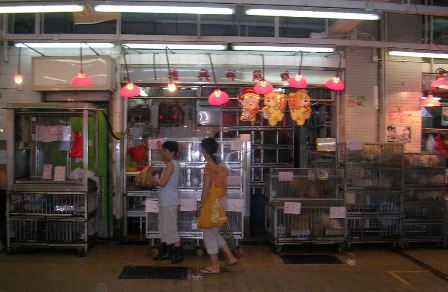 市場3