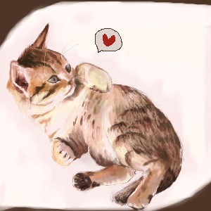 猫４