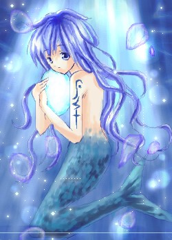 海の宝