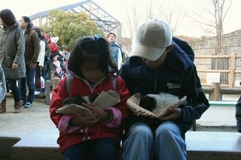 IMG_8231-9.jpg