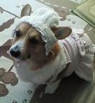 年明け早々こんな格好です