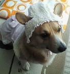 ちょっと気に入っていたりして。。。♪