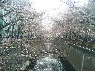 20070327152754.jpg