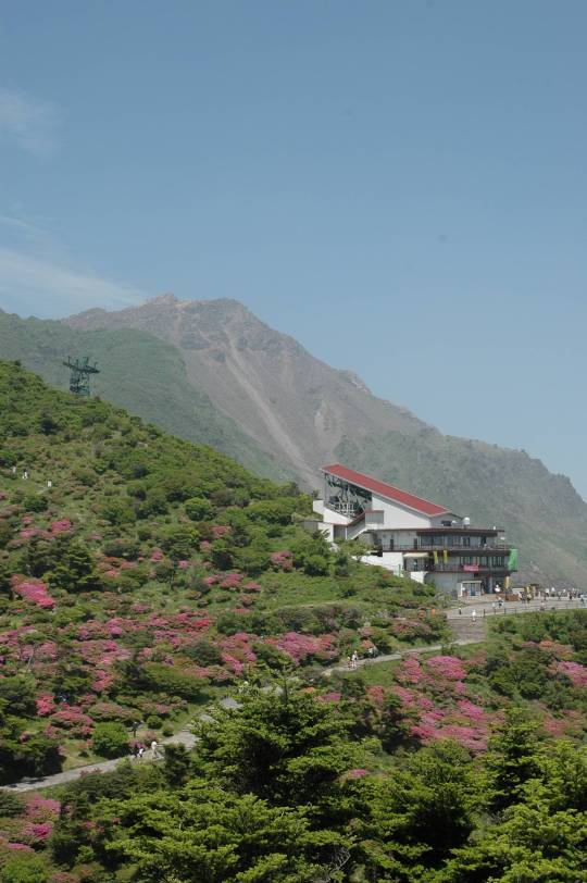 ミヤマキリシマと平成新山