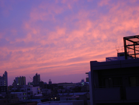 090919夕景.jpg