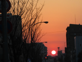 110209夕日.jpg