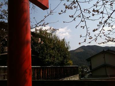 京都吉田神社201003　daimonjiyaki