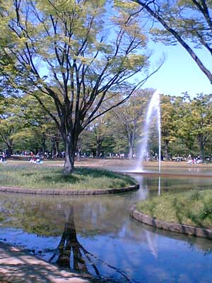 代々木公園04