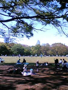 代々木公園07